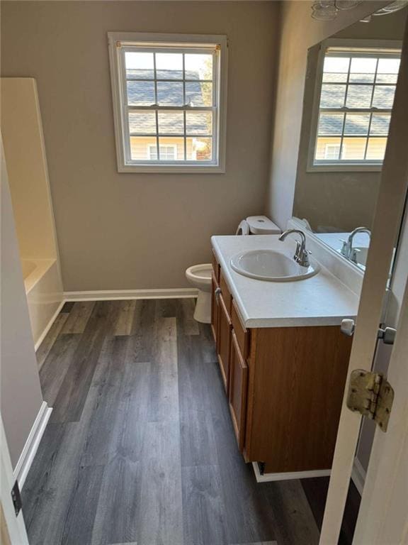 bathroom featuring hardwood / wood-style flooring, vanity, and toilet