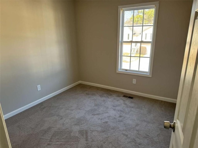 empty room with carpet flooring and a wealth of natural light