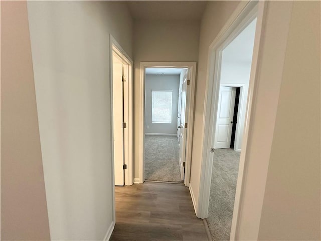 hall with baseboards, wood finished floors, and carpet flooring