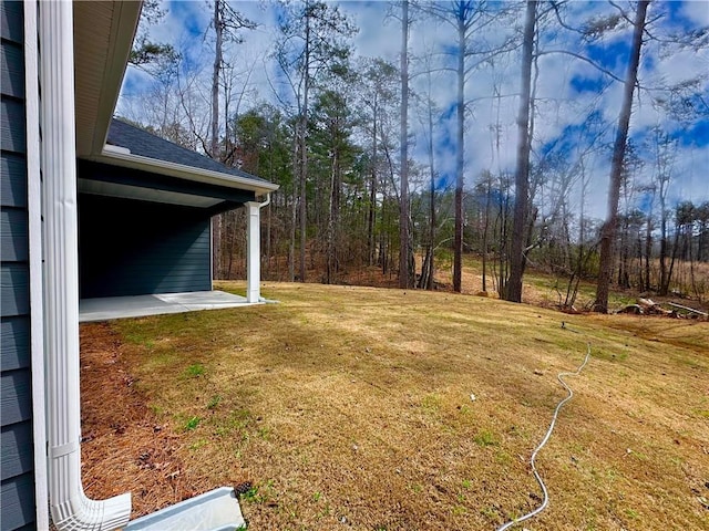 view of yard featuring a patio area