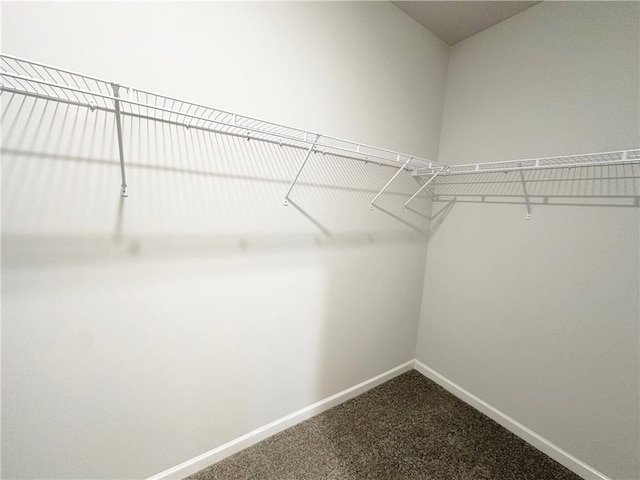 walk in closet with dark carpet