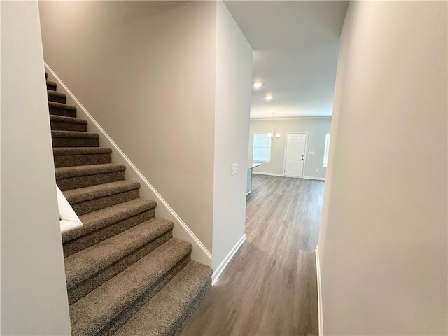 staircase with wood finished floors and baseboards