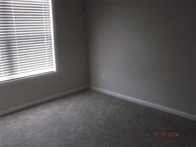 spare room featuring carpet floors