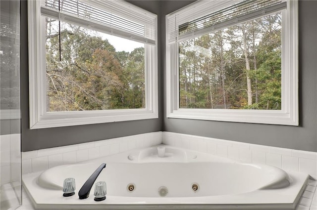 bathroom featuring a wealth of natural light