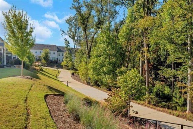 view of home's community featuring a yard