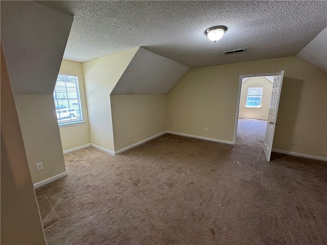 1050 Redan Trce, Stone Mountain, GA 30088 - additional living space with carpet, vaulted ceiling, baseboards, and a textured ceiling
