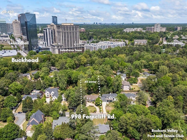 998 Ferncliff Rd NE, Atlanta, GA 30324 - view of urban area