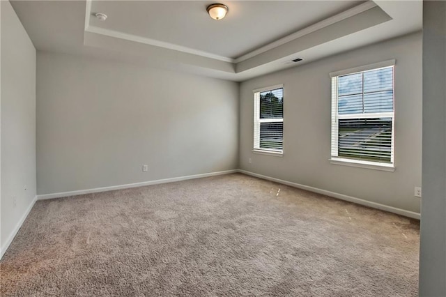 297 Delta Dr, Mcdonough, GA 30252 - unfurnished room with a tray ceiling, carpet, baseboards, ornamental molding, and a smoke detector