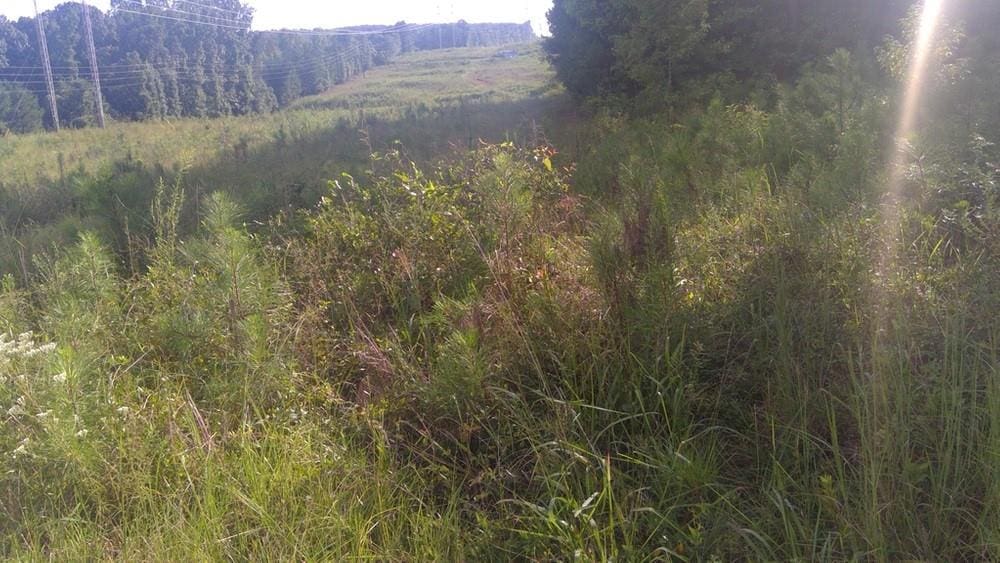 0 SW Klondike Rd SW, Conyers, GA 30094