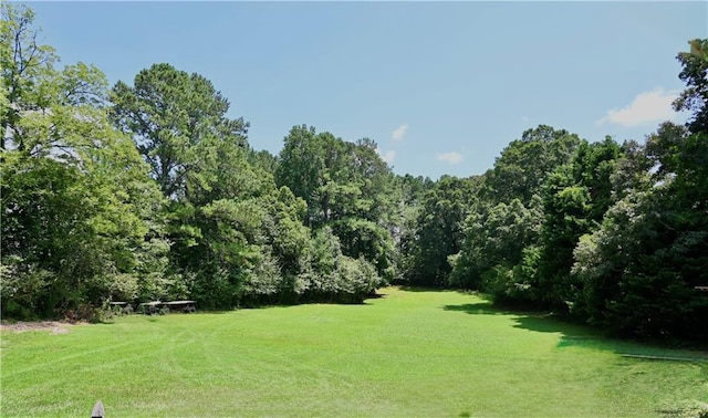 1621 Oak Rd, Snellville, GA 30078 - view of green lawn featuring a wooded view
