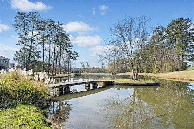 view of dock with a water view