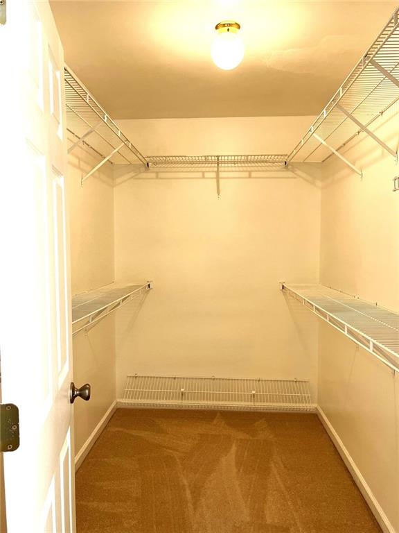 walk in closet featuring carpet flooring