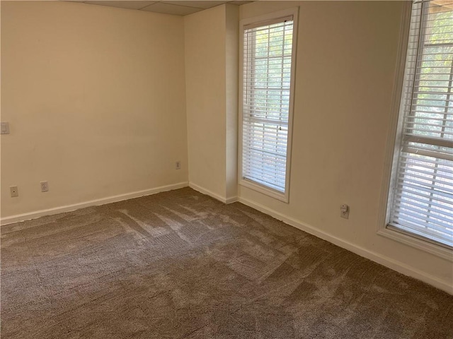 spare room with carpet