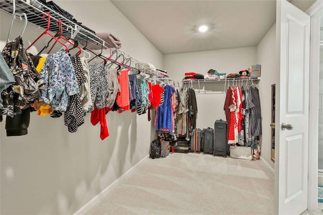 8 Unbridled Way, Newnan, GA 30263 - walk in closet with carpet floors