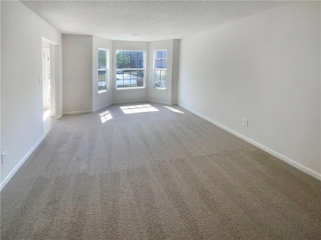 spare room featuring baseboards, carpet floors, and a textured ceiling