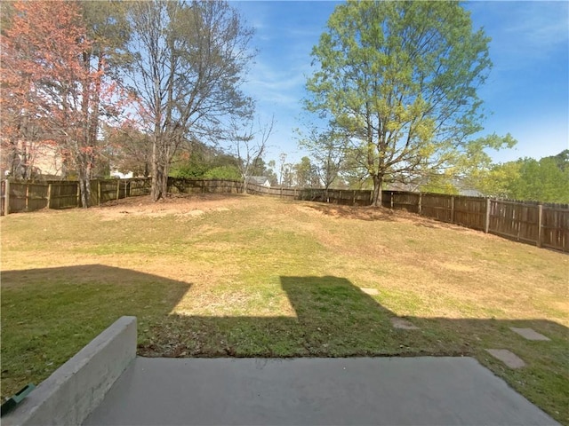 view of yard featuring a fenced backyard