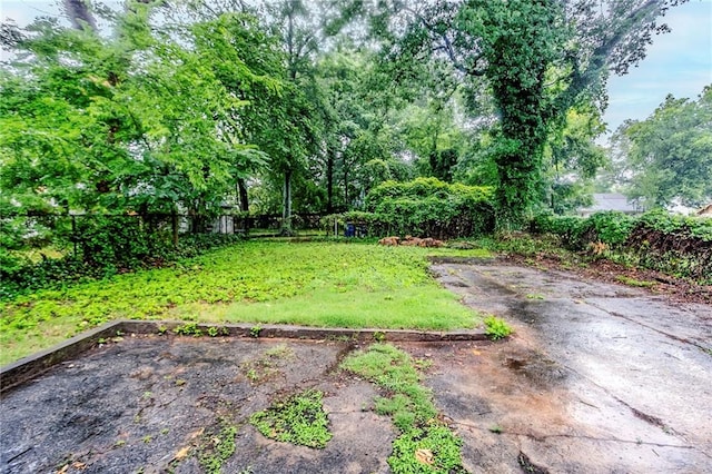 1615 Stokes Ave SW, Atlanta, GA 30310 - view of yard