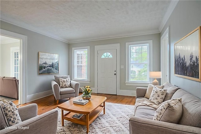 1615 Stokes Ave SW, Atlanta, GA 30310 - living room featuring ornamental molding, wood finished floors, baseboards, and a textured ceiling