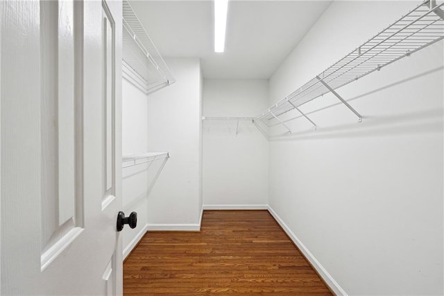 walk in closet with dark wood-type flooring