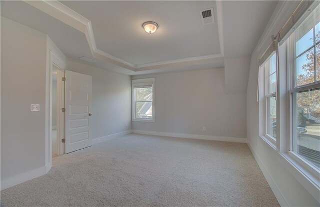 spare room featuring baseboards, carpet, and a tray ceiling