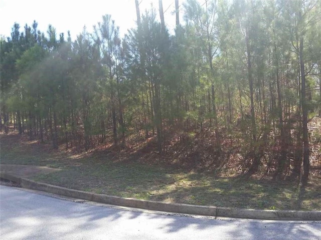 Listing photo 2 for 98 Shawnee Trl, Dallas GA 30157