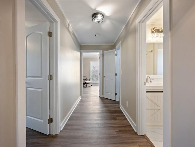 2938 Chestatee Rd, Gainesville, GA 30506 - hallway with crown molding, baseboards, and dark wood finished floors