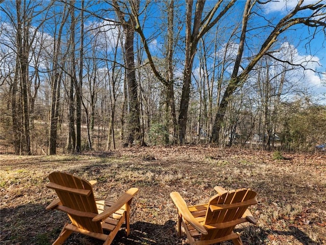 2938 Chestatee Rd, Gainesville, GA 30506 - view of yard