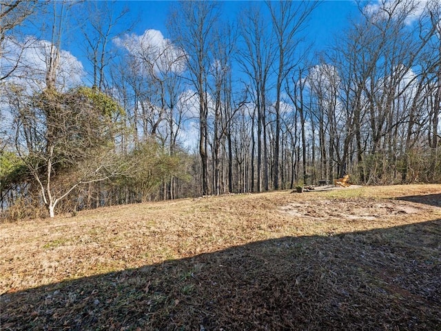 2938 Chestatee Rd, Gainesville, GA 30506 - view of yard featuring a forest view