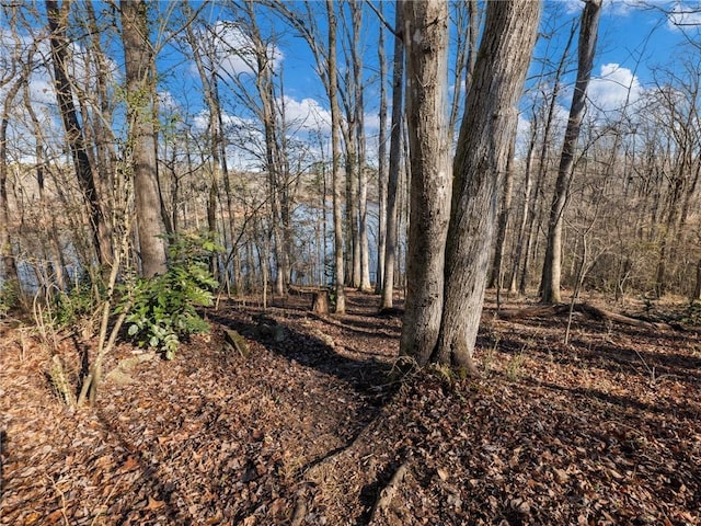 2938 Chestatee Rd, Gainesville, GA 30506 - view of local wilderness featuring a forest view