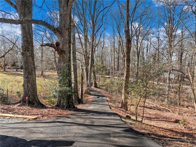 2938 Chestatee Rd, Gainesville, GA 30506 - view of street featuring a view of trees