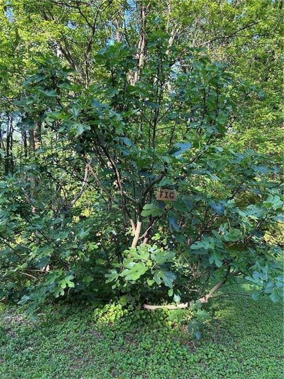 2938 Chestatee Rd, Gainesville, GA 30506 - view of landscape