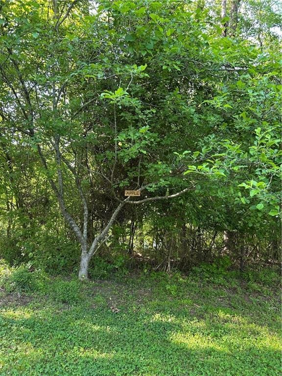 2938 Chestatee Rd, Gainesville, GA 30506 - view of nature featuring a wooded view
