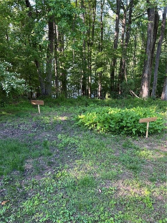 2938 Chestatee Rd, Gainesville, GA 30506 - view of yard