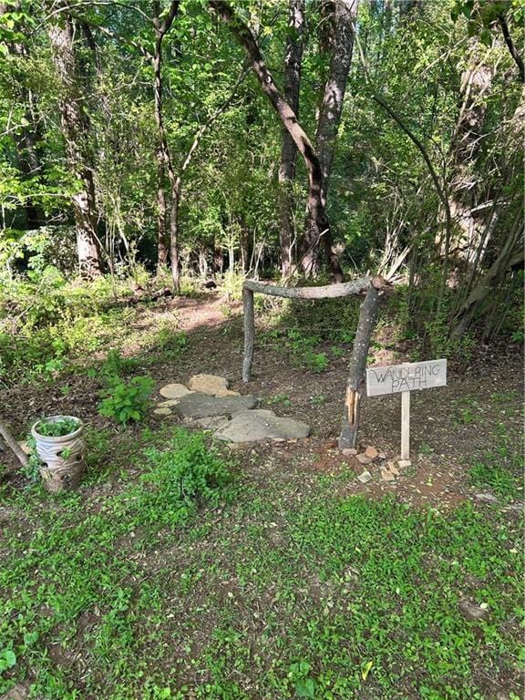 2938 Chestatee Rd, Gainesville, GA 30506 - view of yard