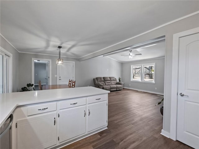 2938 Chestatee Rd, Gainesville, GA 30506 - kitchen featuring dark wood-type flooring, ornamental molding, ceiling fan, and white cabinets