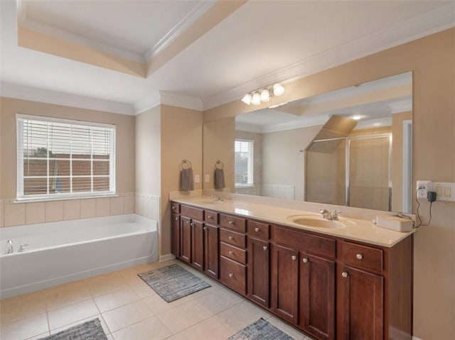 bathroom with tile patterned floors, vanity, a tray ceiling, and ornamental molding