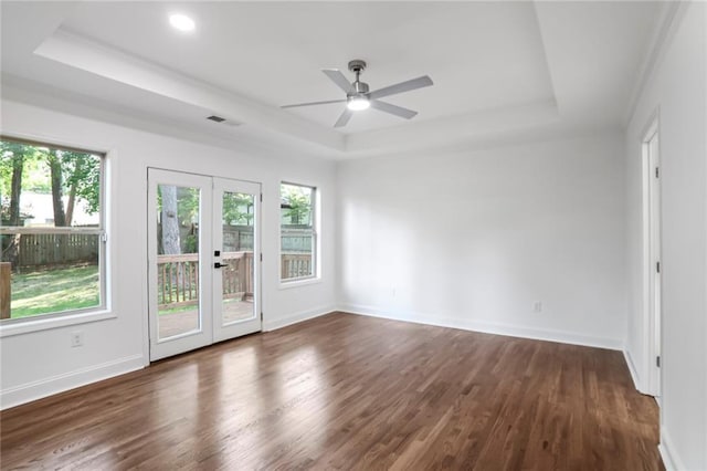 unfurnished room featuring a raised ceiling and plenty of natural light
