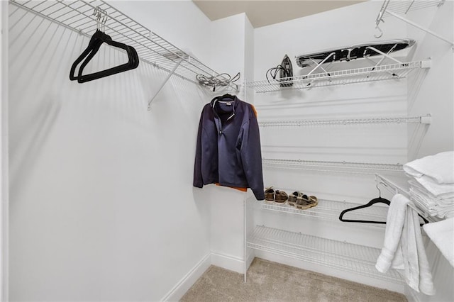 walk in closet with light carpet