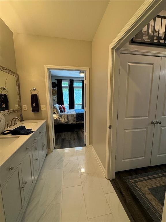 bathroom with vanity and wood-type flooring