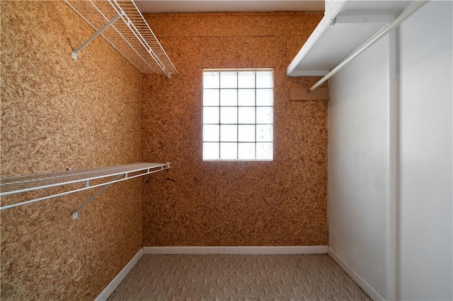 1276 Lanier Blvd NE, Atlanta, GA 30306 - spacious closet featuring carpet floors