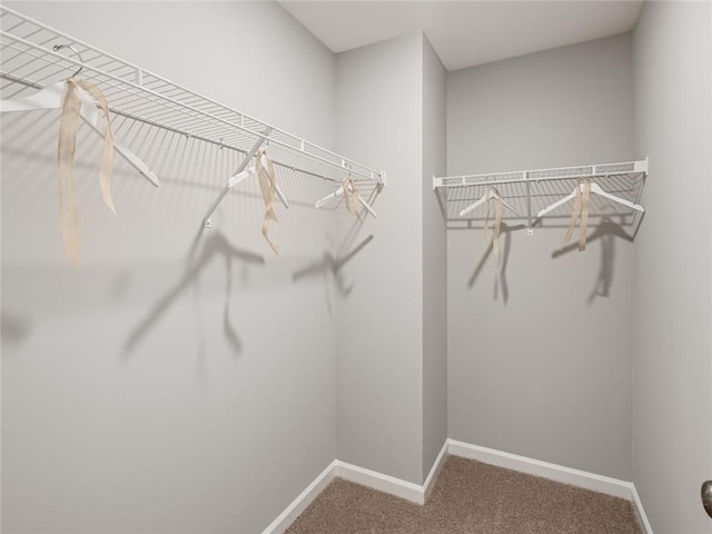 5641 Hislop Ln Unit 88, Mableton, GA 30126 - walk in closet featuring carpet