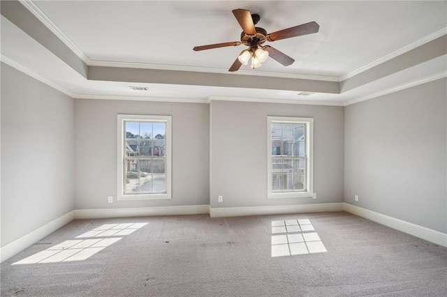 spare room with a raised ceiling, carpet, visible vents, and baseboards