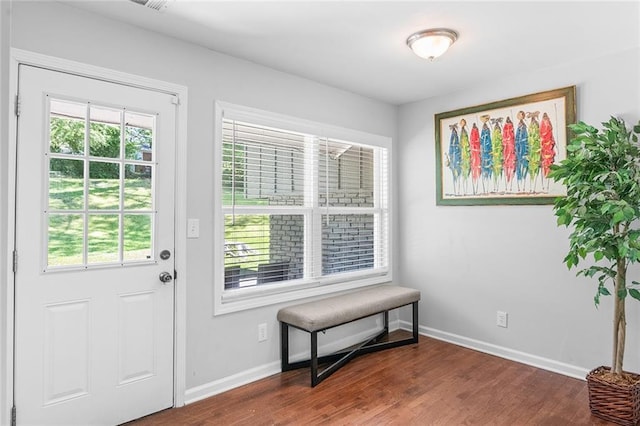 doorway with wood finished floors, baseboards, and a healthy amount of sunlight