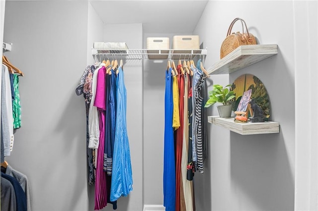 view of spacious closet