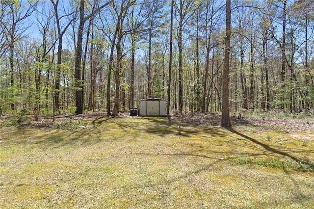 view of yard with a storage shed