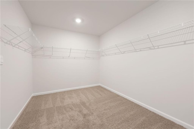 1539 High Falls Ln, Grayson, GA 30017 - walk in closet featuring carpet flooring