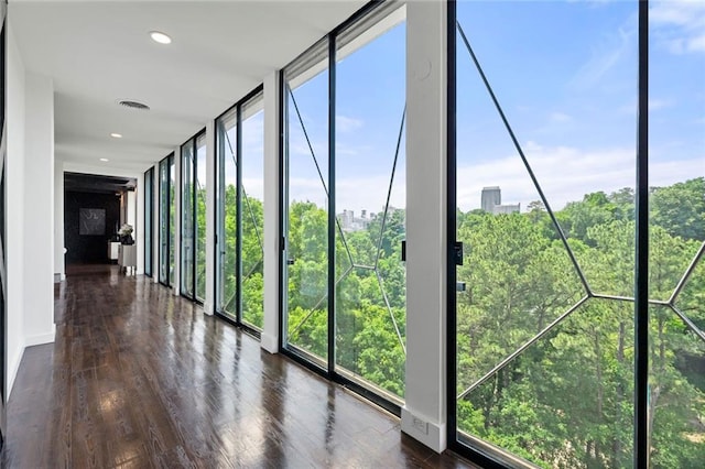 hall featuring a wall of windows, dark wood-type flooring, healthy amount of natural light, and a sunroom