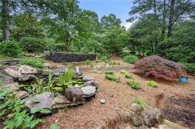 5065 Nesbit Ferry Ln, Atlanta, GA 30350 - view of yard