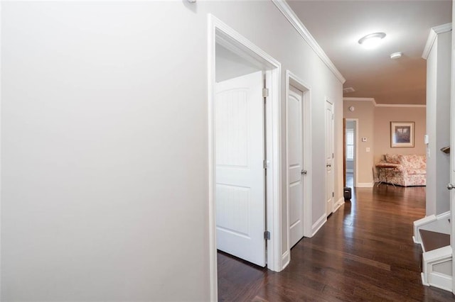 corridor featuring crown molding and dark hardwood / wood-style flooring