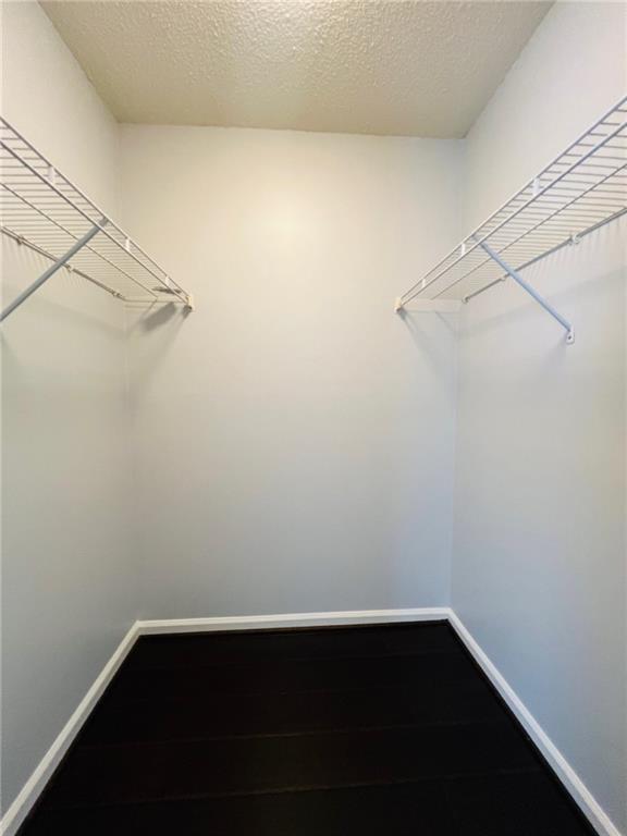 walk in closet featuring dark wood finished floors